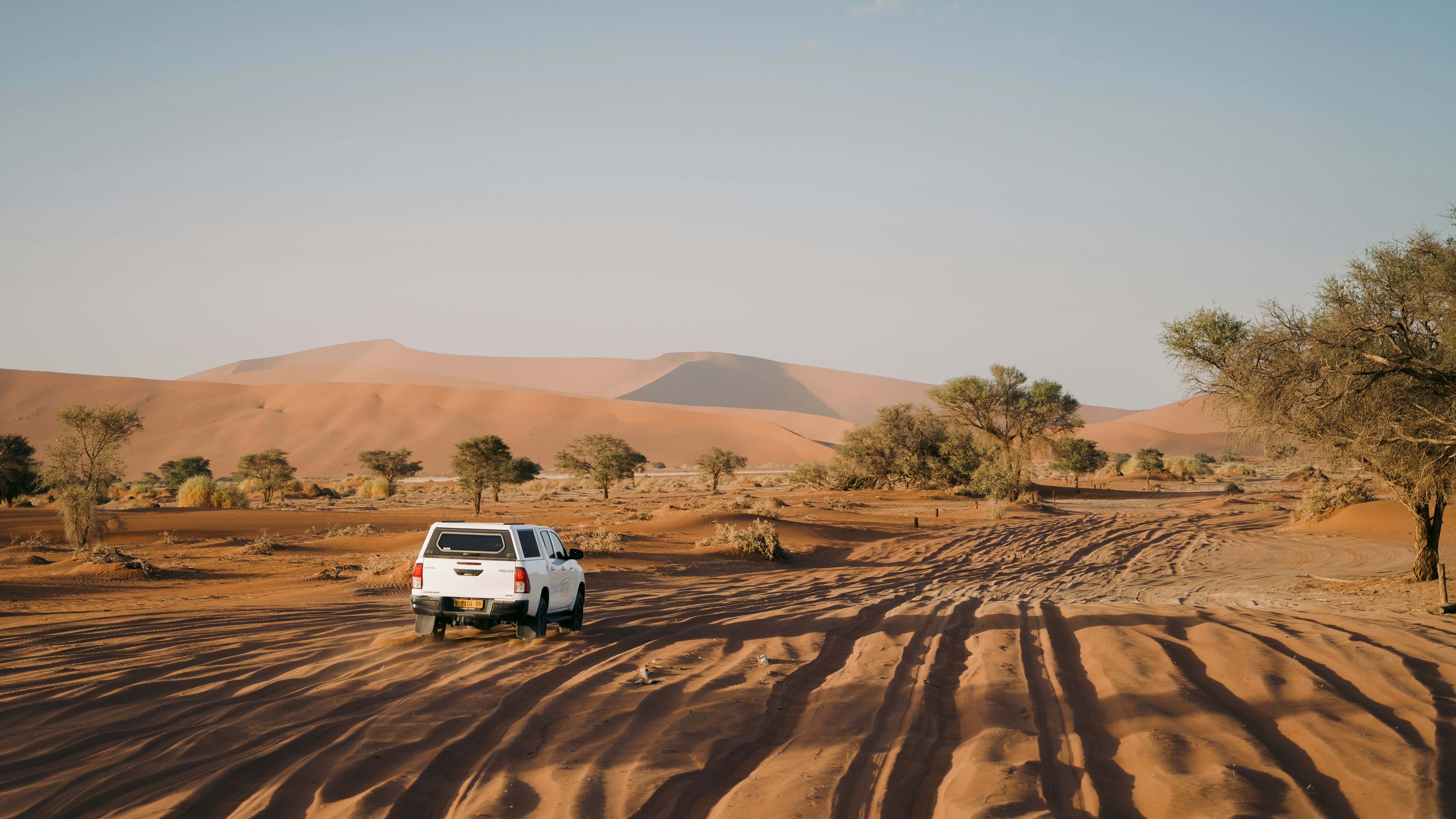 Selbstfahrer-Safari vs. geführte Tour in Namibia