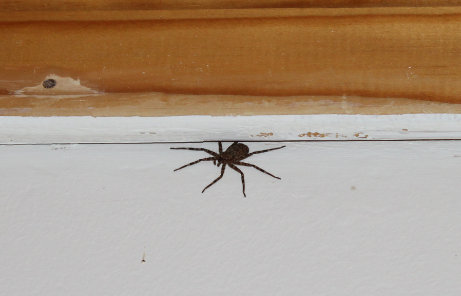 Der 2. Tag – Ankunft in Namibia